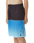 The Rip Curl Boys Boys Dawn Patrol Boardshorts in Black & Blue