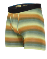 The Stance Mens Slushie Boxers in Brick