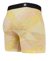 The Stance Mens Tri Angular Wholester Boxers in Multi