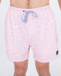 Phantom Eco Poolside Boardshorts in Lollipop