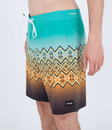 The Hurley Mens Phantom Eco Classic Boardshorts in Fiji