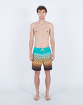 The Hurley Mens Phantom Eco Classic Boardshorts in Fiji