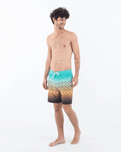 The Hurley Mens Phantom Eco Classic Boardshorts in Fiji