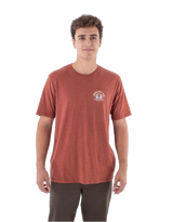 The Hurley Mens Everyday Cobra Pit T-Shirt in Brickyard Heather