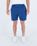 Phantom Naturals Baja Walkshorts in Submarine