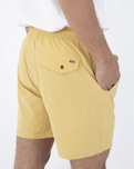 The Hurley Mens Phantom Naturals Baja Walkshorts in Dusty Cheddar