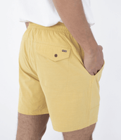 The Hurley Mens Phantom Naturals Baja Walkshorts in Dusty Cheddar