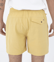 The Hurley Mens Phantom Naturals Baja Walkshorts in Dusty Cheddar