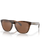 The Oakley Frogskins Prizm Sunglasses  in Matte Tortoise & Prizm Tungsten