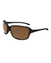 The Oakley Cohort Sunglasses in Brown