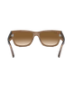 The Ray-Ban Carlos Sunglasses in Light Brown