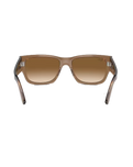 The Ray-Ban Carlos Sunglasses in Light Brown