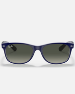 The Ray-Ban New Wayfarer Bicolour Sunglasses in Blue & Green