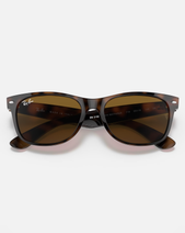 The Ray-Ban New Wayfarer Sunglasses in Brown