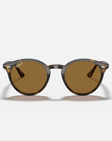 The Ray-Ban RB2180 Sunglasses in Dark Brown