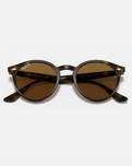 The Ray-Ban RB2180 Sunglasses in Dark Brown