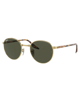 RB3691 Sunglasses in Arista