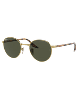 RB3691 Sunglasses in Arista