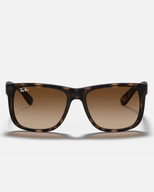 The Ray-Ban Justin Classic Sunglasses in Brown