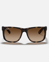 The Ray-Ban Justin Classic Sunglasses in Brown