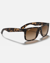 The Ray-Ban Justin Classic Sunglasses in Brown