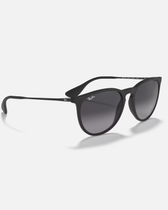 The Ray-Ban Erika Sunglasses in Black