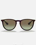 The Ray-Ban Erika Sunglasses in Assorted