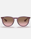 The Ray-Ban Erika Sunglasses in Transparent Violet