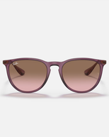 The Ray-Ban Erika Sunglasses in Transparent Violet