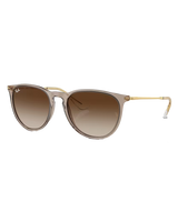 The Ray-Ban Erika Sunglasses in Light Brown