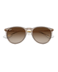 The Ray-Ban Erika Sunglasses in Light Brown