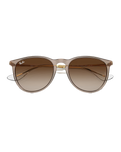 The Ray-Ban Erika Sunglasses in Light Brown