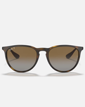 The Ray-Ban Erika Sunglasses in Brown