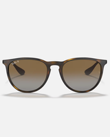 The Ray-Ban Erika Sunglasses in Brown