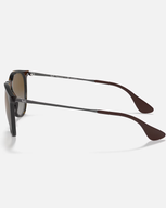 The Ray-Ban Erika Sunglasses in Brown