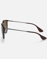 The Ray-Ban Erika Sunglasses in Brown