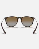 The Ray-Ban Erika Sunglasses in Brown