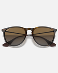 The Ray-Ban Erika Sunglasses in Brown