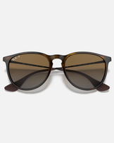 The Ray-Ban Erika Sunglasses in Brown