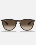 The Ray-Ban Havana Erika Sunglasses in Brown