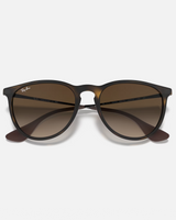 The Ray-Ban Havana Erika Sunglasses in Brown