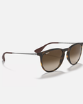 The Ray-Ban Havana Erika Sunglasses in Brown