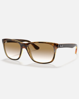 The Ray-Ban RB4181 Sunglasses in Brown