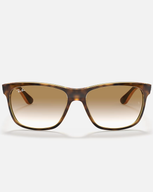 The Ray-Ban RB4181 Sunglasses in Brown