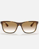 The Ray-Ban RB4181 Sunglasses in Brown