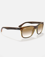 The Ray-Ban RB4181 Sunglasses in Brown