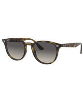 The Ray-Ban RB4259 Sunglasses in Grey