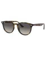 The Ray-Ban RB4259 Sunglasses in Grey