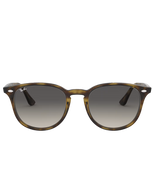 The Ray-Ban RB4259 Sunglasses in Grey