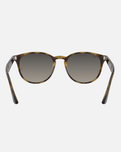 The Ray-Ban RB4259 Sunglasses in Grey